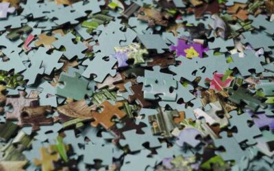 Competitive? Like Puzzles? See below