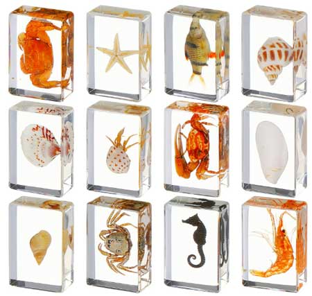 Ocean-Themed12-Pieces-Insect-in-Resin Ocean Themed12 Pieces Insect in Resin