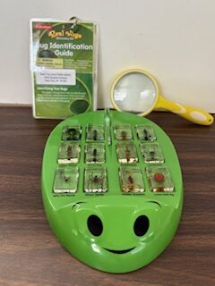 Green Plastic Bug containing 12 bugs in acrylic in front of Identification Guide and yellow Magnifying Glass.