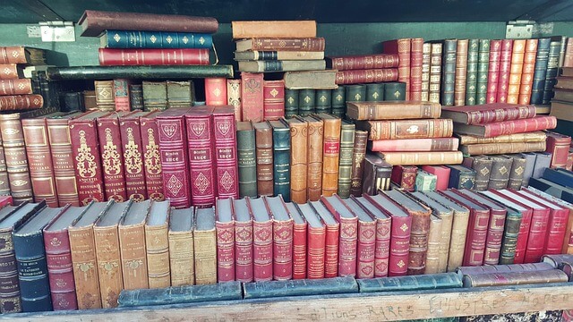 Book Vendor Leather bound books lined up on a table.