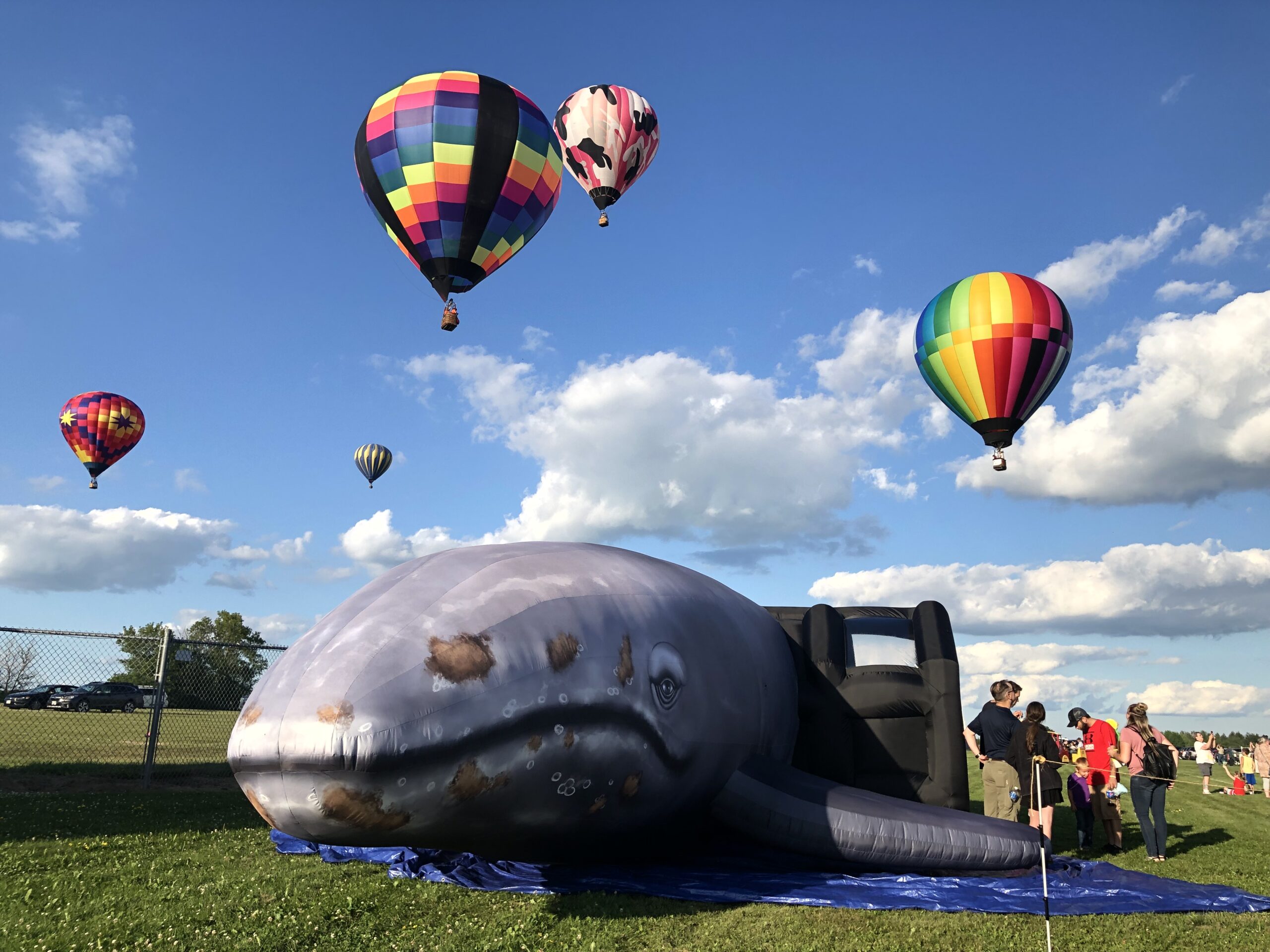 Picture of gray inflatable whale with colorful balloon flying overhead.