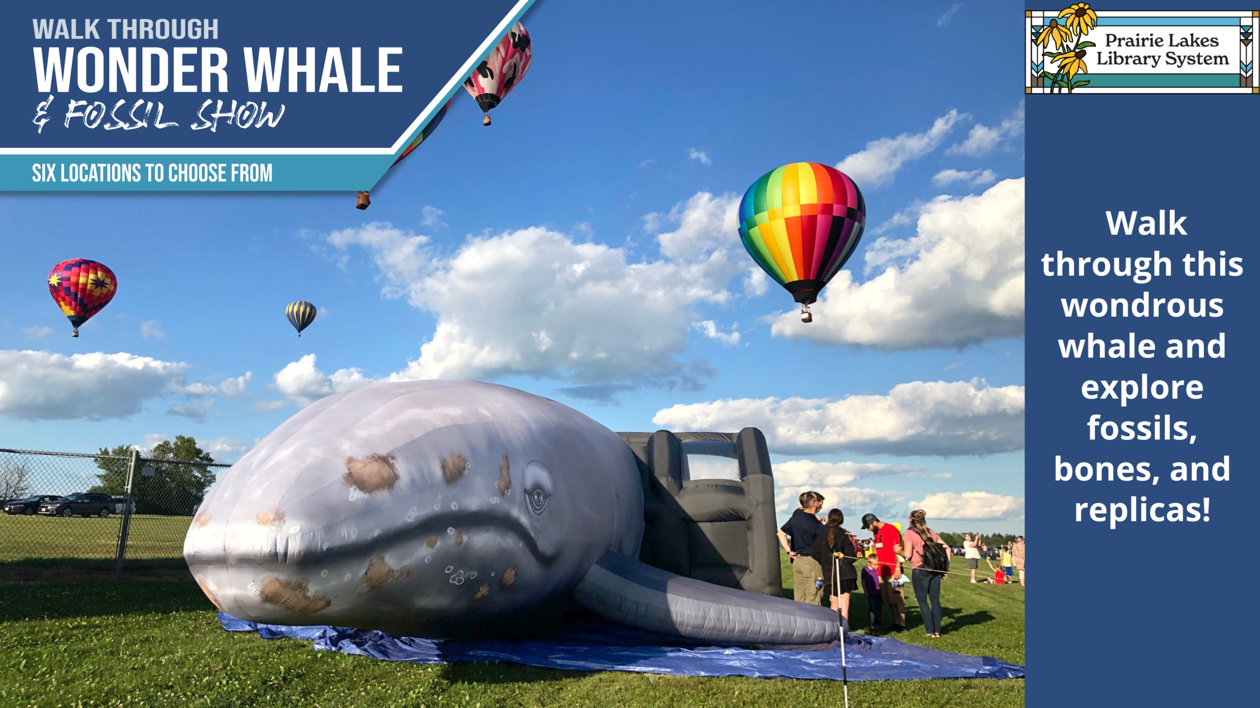 Sourdough Made Simple Promo with two artisan loafs